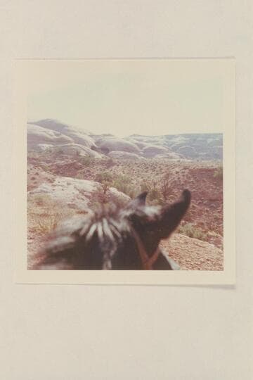 West of Southerly from divide between side canyon of Glen Canyon at Mile 83-84 and Wilson Canyon draining into the San Juan from the north and entering at Mile 14