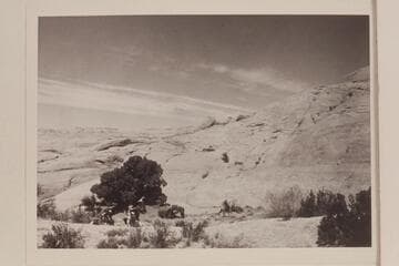 Base camp north of Lehi Canyon