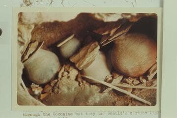 Pottery found by Don Davis opposite bridge in Lava Creek. " Taken at an angle while pressed into a hole in the ceiling left of entrance passage.  Shows more of the cave."