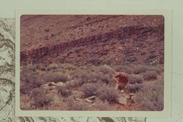 Colin Fletcher examines the ruins in Kwagunt Canyon