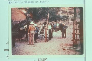 At the corral in Bridge Canyon above Rainbow Bridge