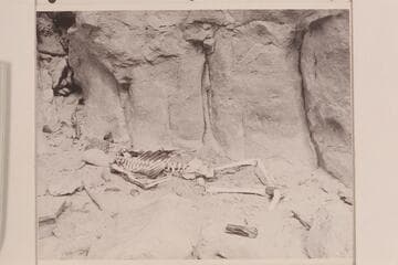 Skeleton above Vaseys Paradise