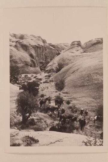 Repairs to Tom Daly's horse after he had slipped on the slickrock west of Nasja Creek