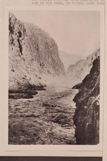 Head of Separation Rapid