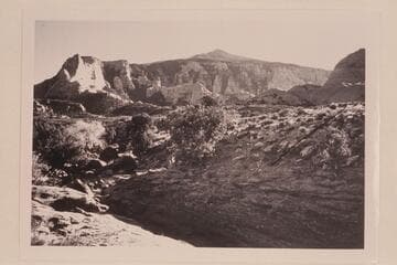 Navajo Mountain from Cha Canyon