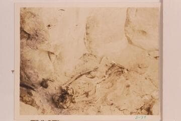 Skeleton found by the Dusty Dozen above Paradise Canyon in Marble Canyon