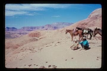 Sid Whiskers, Buck Whitehat; Glen Canyon