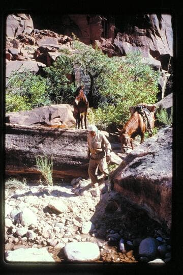 Sid Whiskers down trail in Black Water Creek