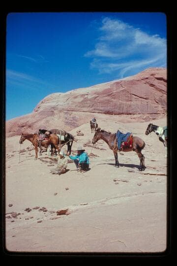 Sid Whiskers and Buck Whitehat
