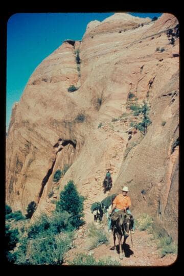 Down into Bald Rock Creek