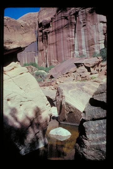 Pool in Black Water Creek