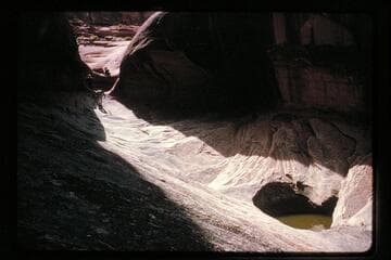 Waterpockets; Side Canyon near wash out of jeep road