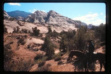Between Bald Rock and Nasja Creek