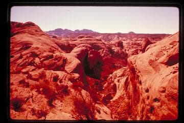 Trail north of Cha Butte between Bald Rock and Cha Creeks