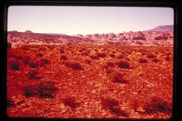 Rough country between Nasja and Anasazi, 50 Mile Mountain from north of Cha Butte