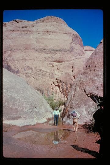 Sid Whiskers checks quicksand