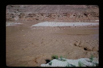 Across flood at mouth of Little Colorado to islands