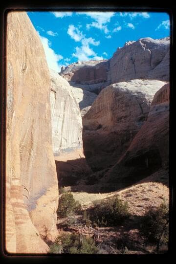 Up into head of middle fork of 73