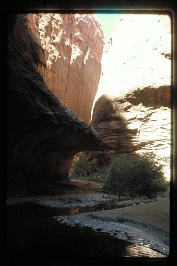 Down from drop just above fault