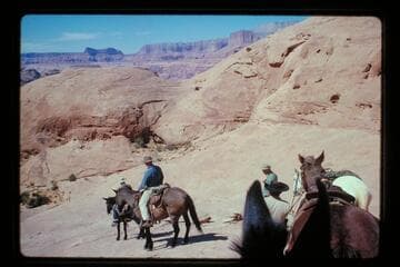 Drop from ledge on trail north of 71.5