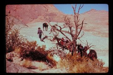 Trail from north of 5014 into Moepitz