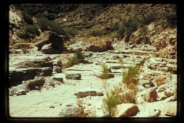 Looking up Fall Canyon from near mouth