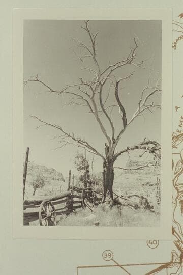Fence at McPherson Ranch