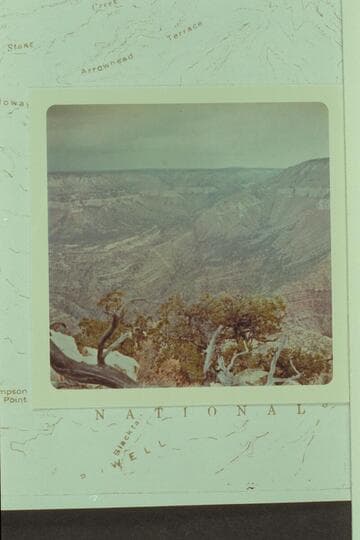 Saddle Canyon from Steamboat Mountain