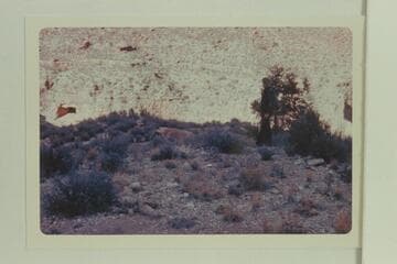 Allyn at mescal pit.  Clement Tadje route