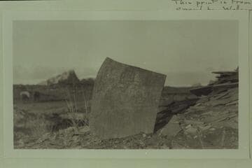 Town Plat Rock.  Slabs of rock with regular natural markings which are a puzzle as to the source