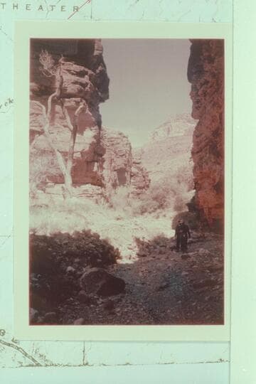 North in Tapeats narrows of Clear Creek