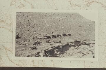 Hauling freight from Nakai Canyon to Spencer Camp