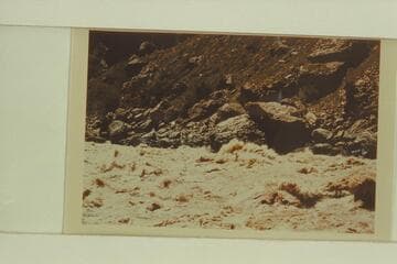 Jack Brennan in his outboard glass boat in Vulcan Rapid.  The single outboard motor stopped during the run