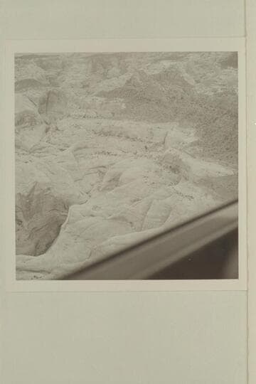 Head of one branch of 73 in Butte 6069