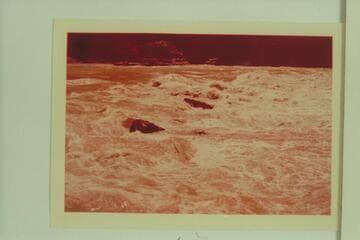 164 Mile Rapid
