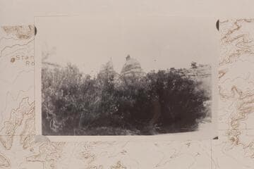 The Fins, Ernies Country