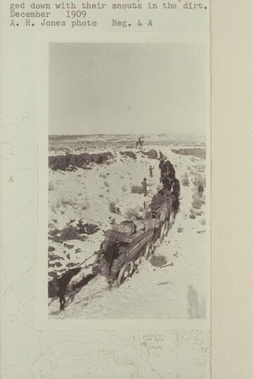 Bull team hauling heavily loaded wagons over road from Chinlee to Oljato