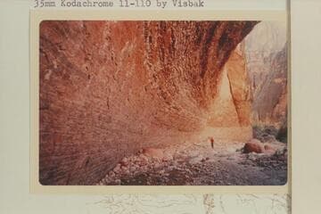 Scotty's Hollow in big side canyon from the west about 3 miles up Kanab Creek from the first big side canyon from the east after leaving the River