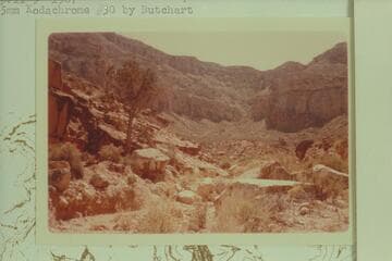 Beaver Canyon- route through Coconino