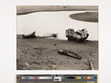 Point Arena, N. Coast