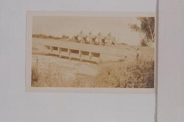 Rositas Heading on the Alamo