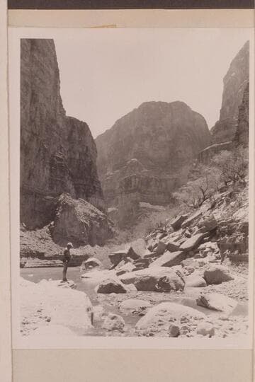 Kanab Creek; Mile 143 1/2.  Lagoon backed into mouth of Kanab Creek