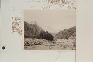 Up Diamond Creek from its mouth