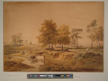 Harrow from Hampstead Heath