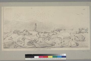 The Rabbit-Hole Springs, (Wells in a desert)