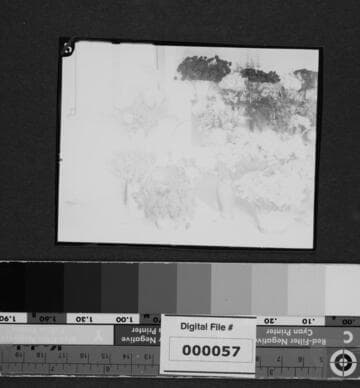 Flowers for Eliza A. Otis memorial service