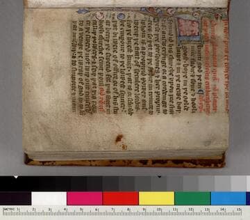 The clergy may not hold property : [manuscript]