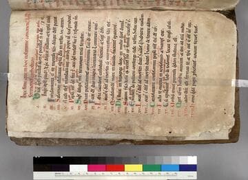 Sermons : [manuscript]/ by Geoffroy Babion and others