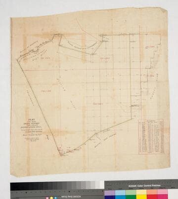 Plat of the Rancho Sausal Redondo