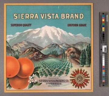 Sierra Vista Brand